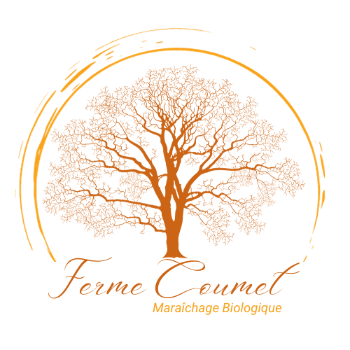 Cycle Les métamorphoses intérieures 1/4